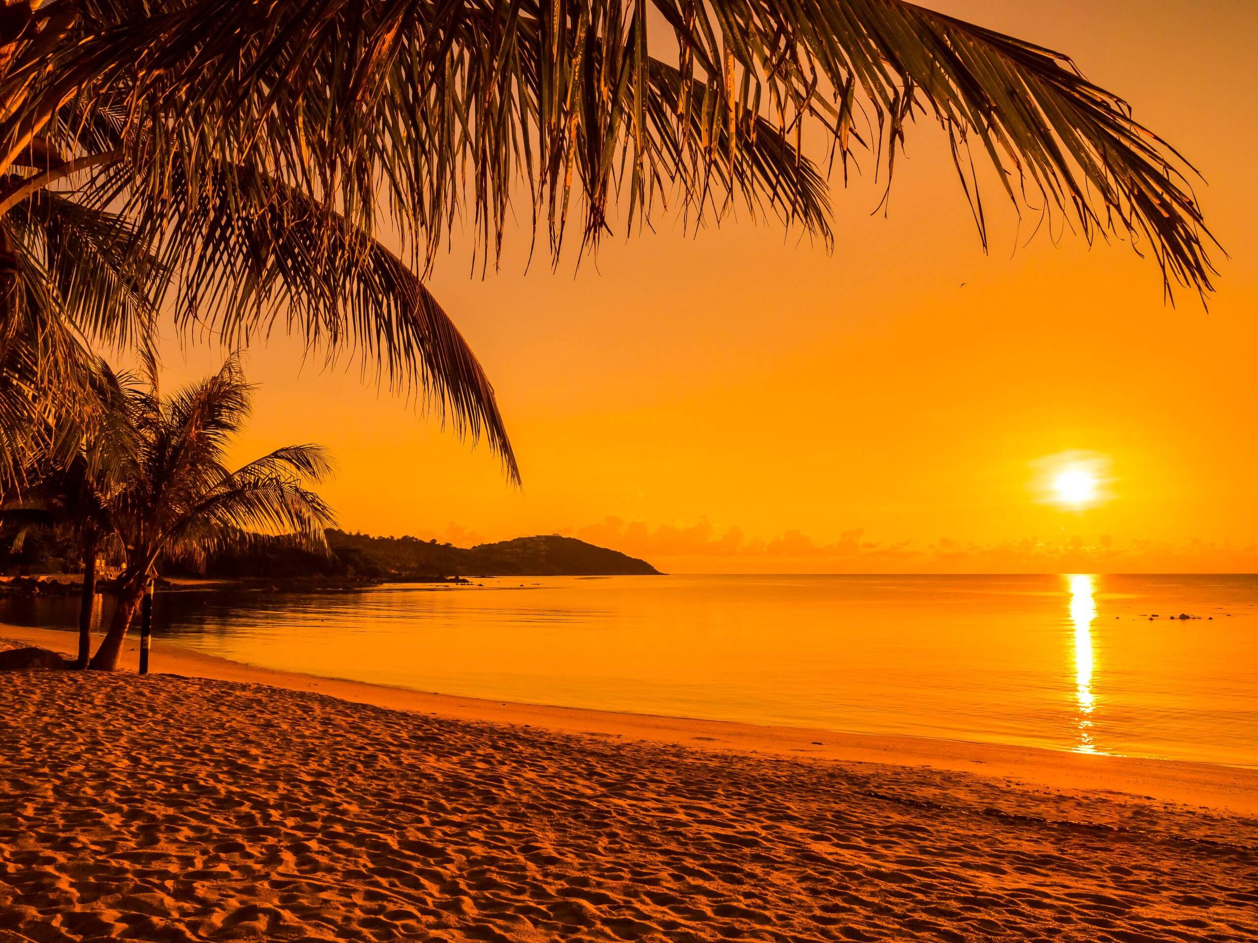 Luxury Living in Goa: From Beachside Villas to Famous Water Sports