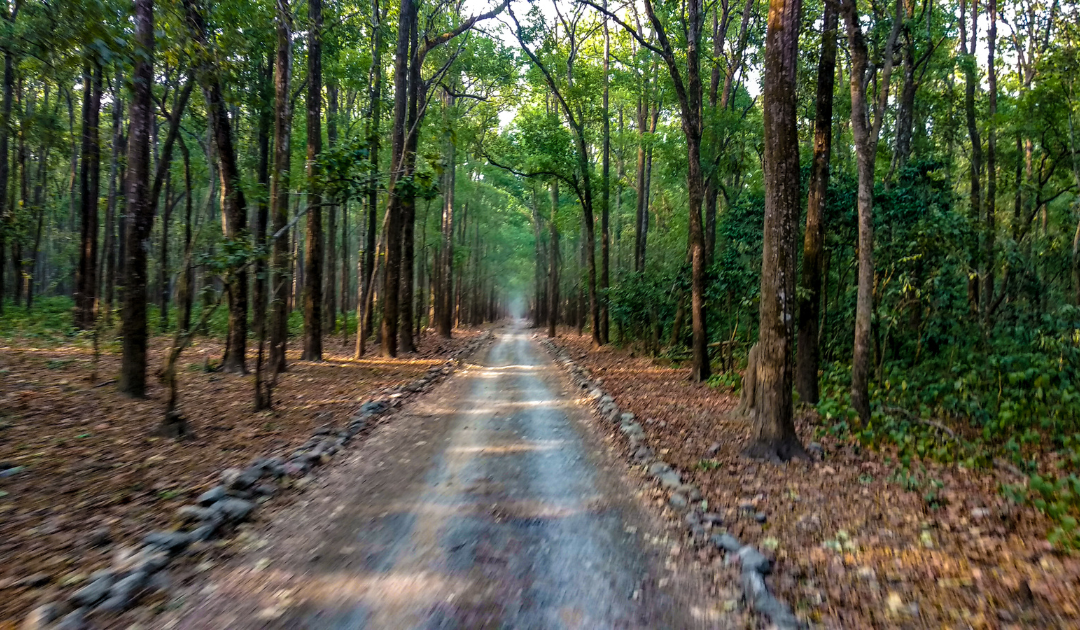 Road Trip to Nainital 